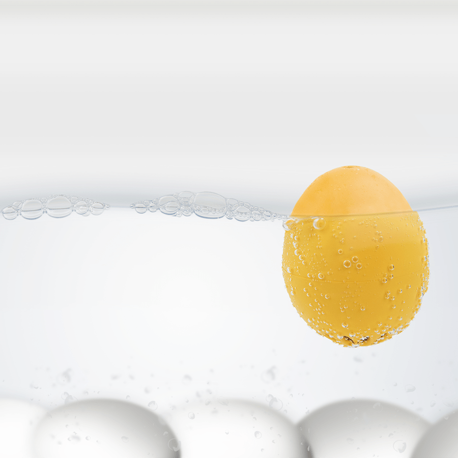 BEEP SINGING EGG TIMER LIGHT BLUE - DYKE & DEAN