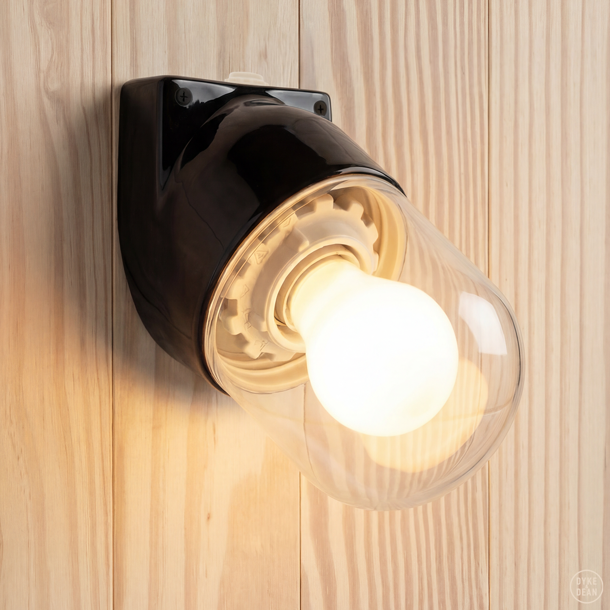BLACK CLEAR PORCELAIN WATERPROOF ANGLED WALL LIGHT