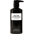 DS&DURGA BIG SUR AFTER RAIN HAND SOAP - DYKE & DEAN