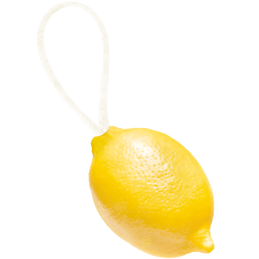 LEMON SOAP ON A ROPE - DYKE & DEAN