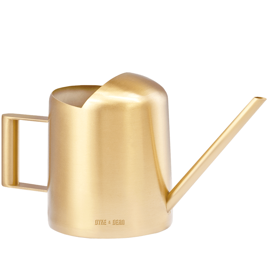 STAINLESS WATERING CAN GOLD - DYKE & DEAN