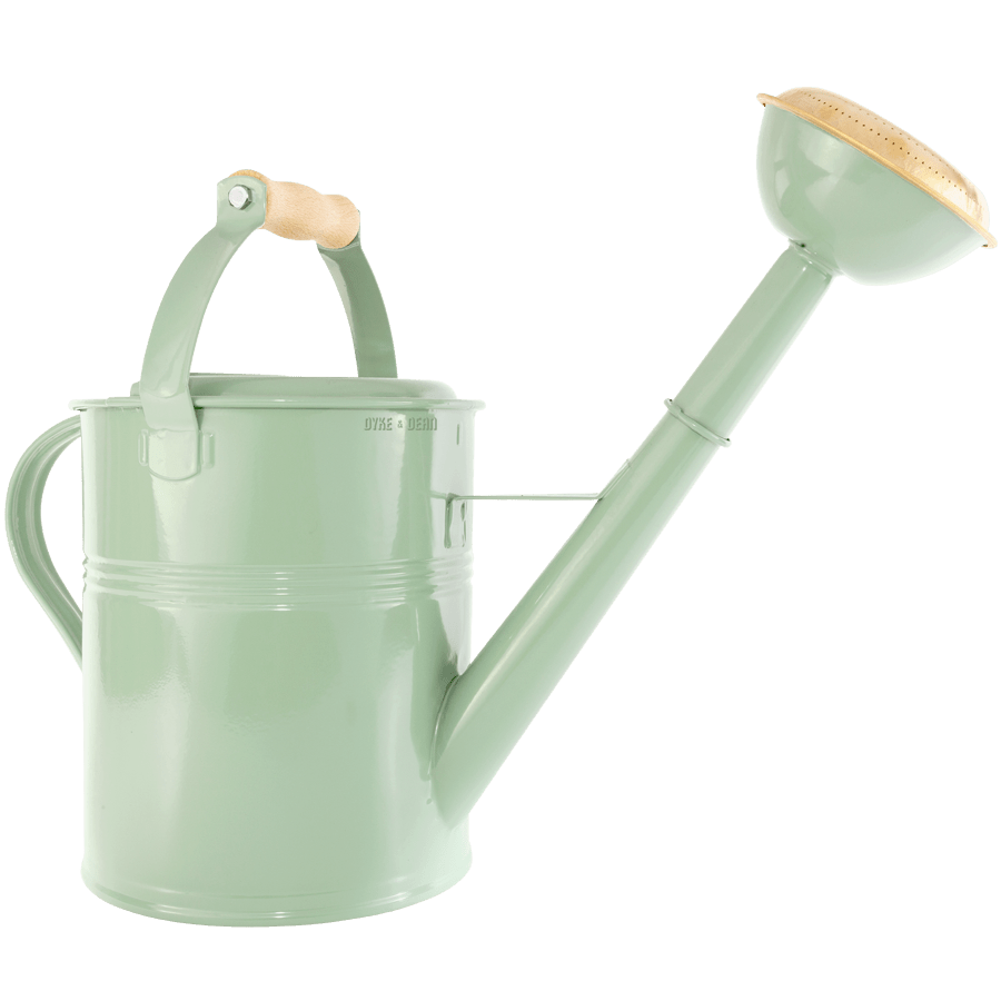 LARGE WATERING CAN ROSE SPOUT GREEN - DYKE & DEAN